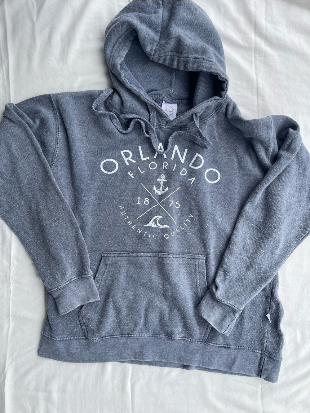 Orlando Florida Graphic Hoodie - Washed Blue Pullover